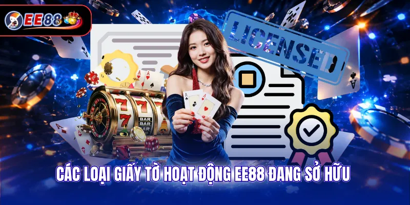 Các loại giấy tờ hoạt động EE88 đang sở hữu