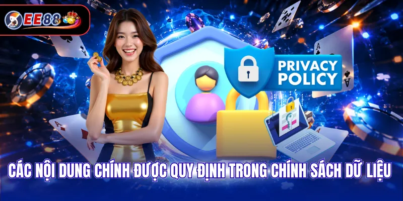 Các nội dung chính được quy định trong chính sách dữ liệu