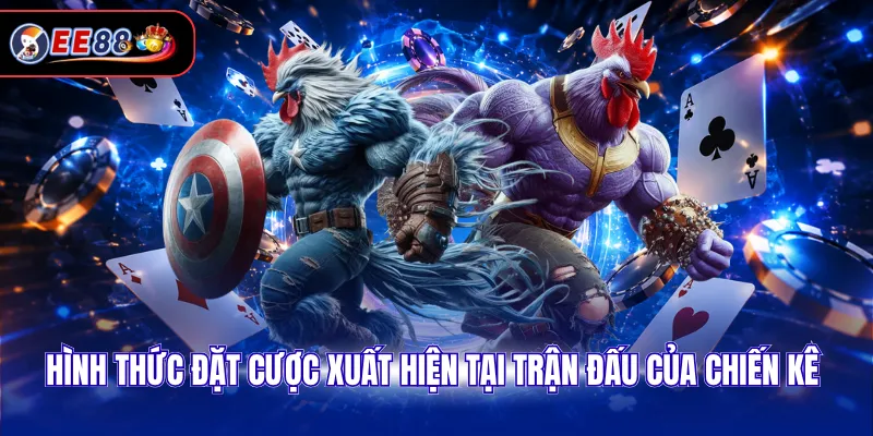 Hình thức đặt cược xuất hiện tại trận đấu của chiến kê