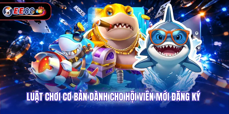 Luật chơi cơ bản dành cho hội viên mới đăng ký